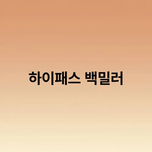 하이패스 백밀러