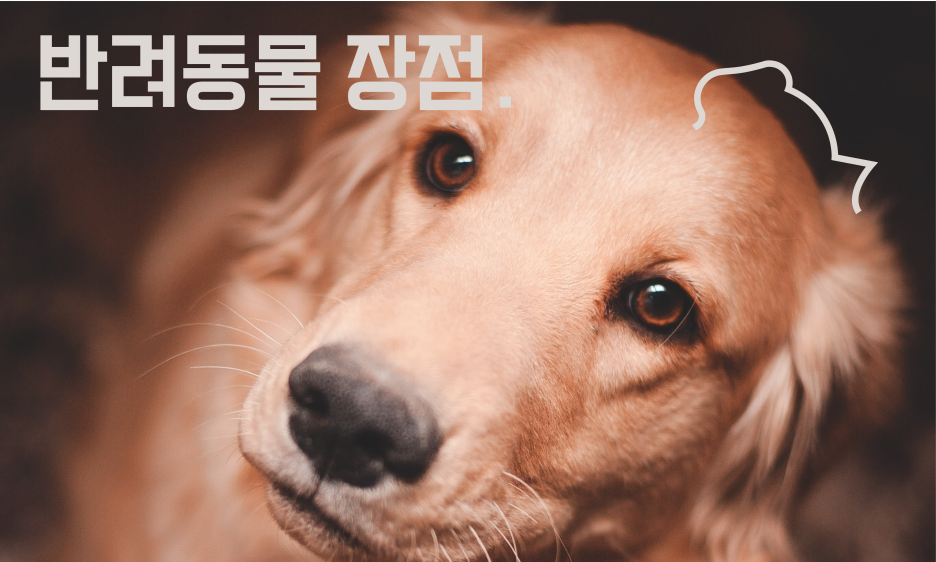반려동물 장점