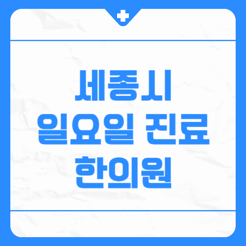 세종시 일요일 진료 한의원