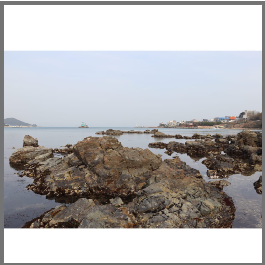 갯바위-포인트