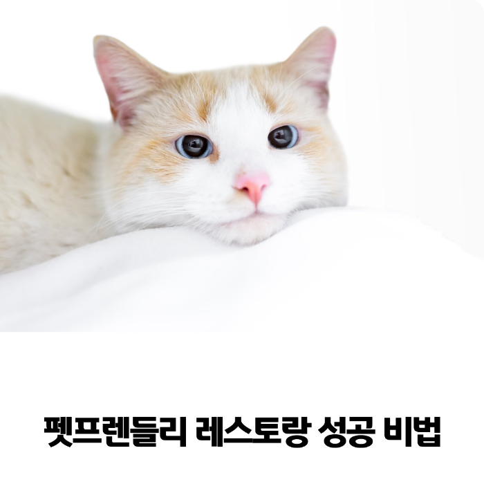 펫프렌들리-레스토랑-성공-비법