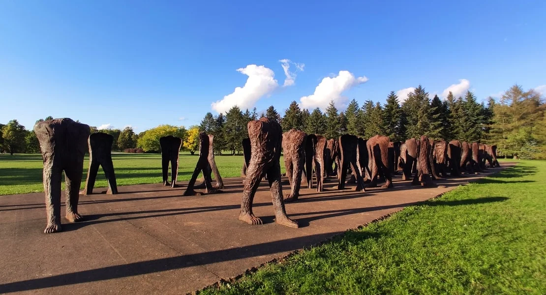 시타델라 공원(Park Cytadela)