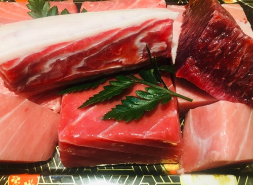 설화참치 용인 인생맛집 생방송투데이