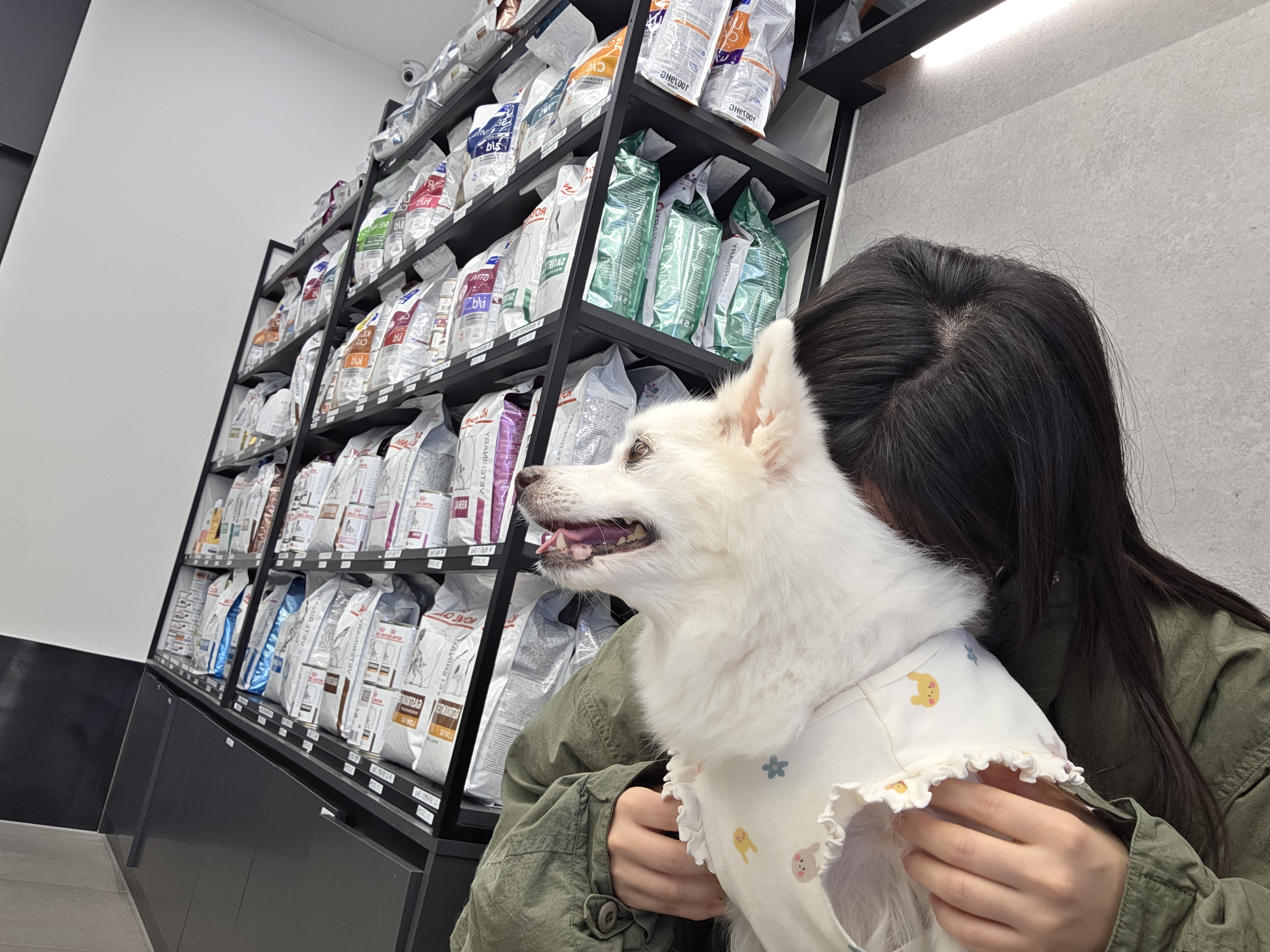 속초 나의동물메디컬센터