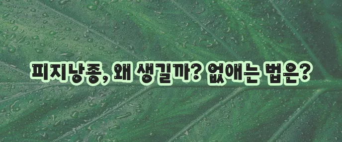 피지낭종 원인과 제거 방법 확실하게 알아봅시다!