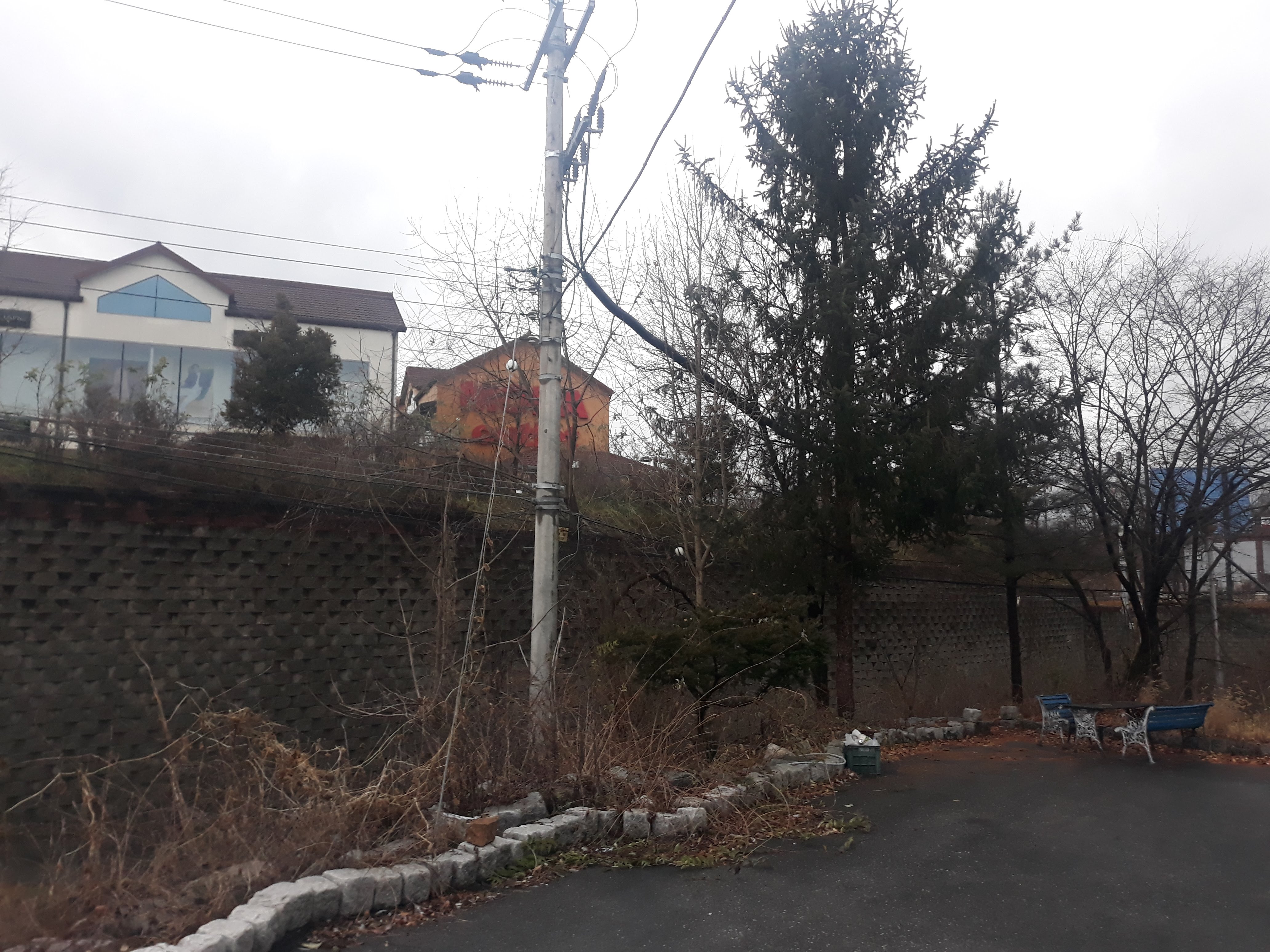 전봇대