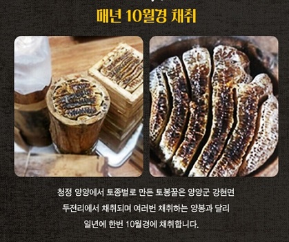 양양토봉꿀