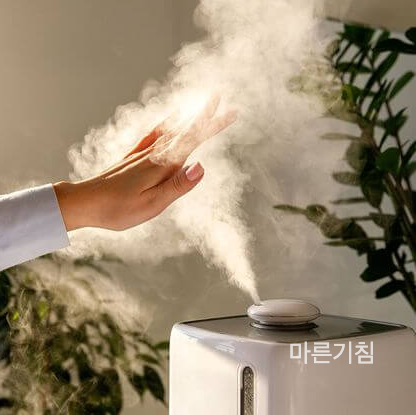 가습기 사용