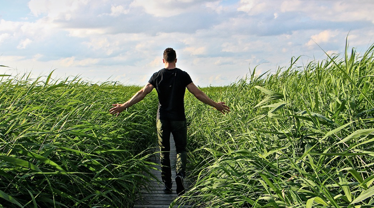 명상이 스트레스와 코티솔 수치를 줄이는 메커니즘