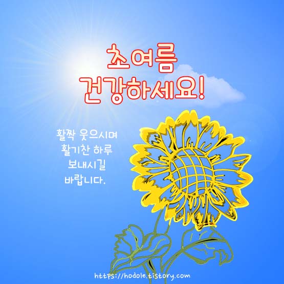 초여름-이미지