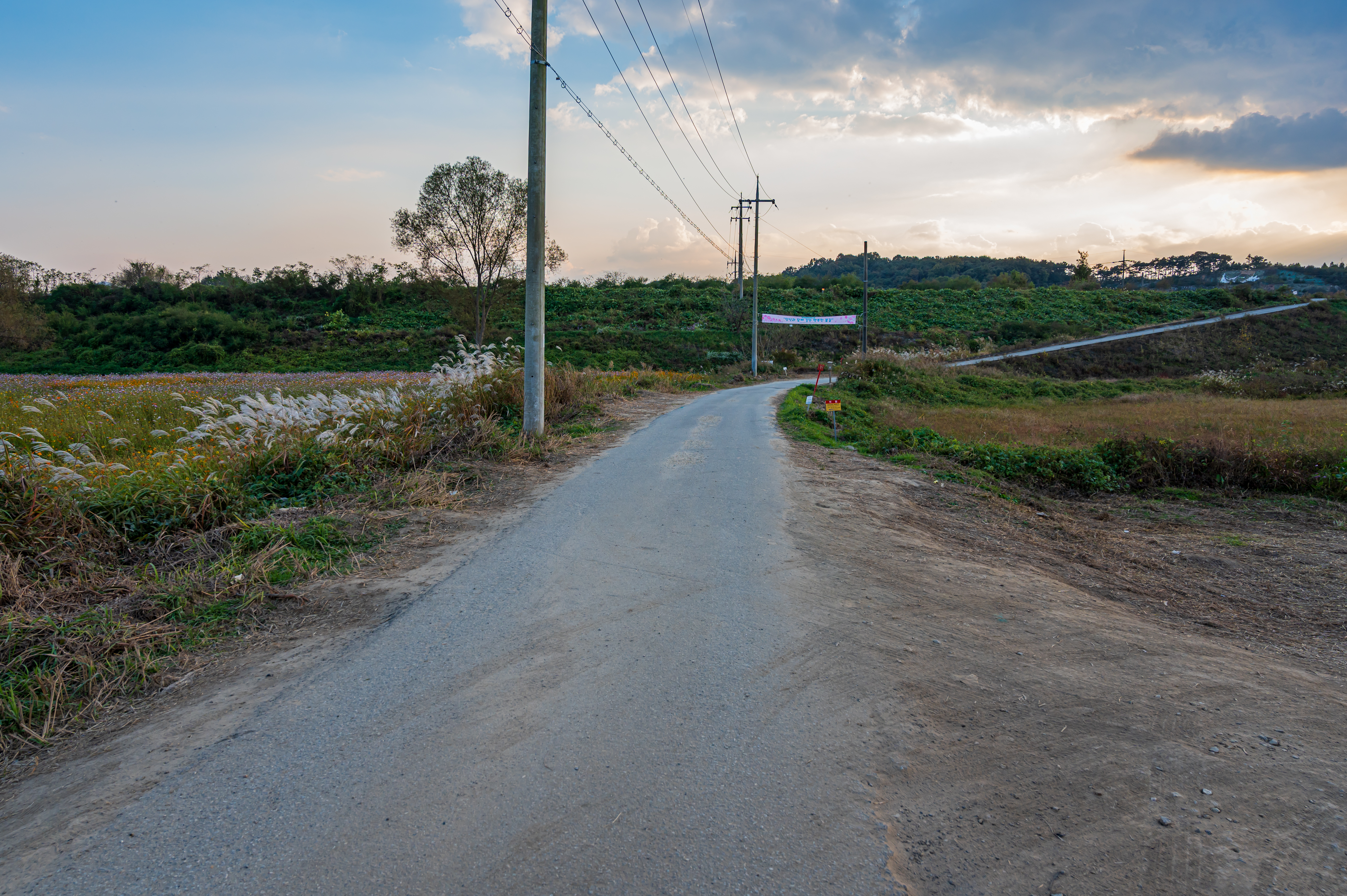 ์ฝ์ค๋ชจ์ค ๋ง๊ฐ '์ธ์ข
์ฒ๋ฐ๊ทผ๋ฆฐ๊ณต์'