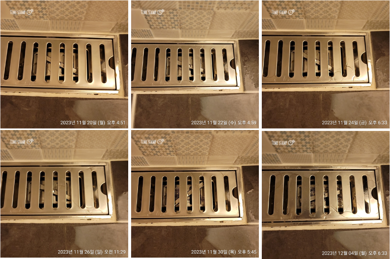 비타브리드 2주 사용 과정 기록