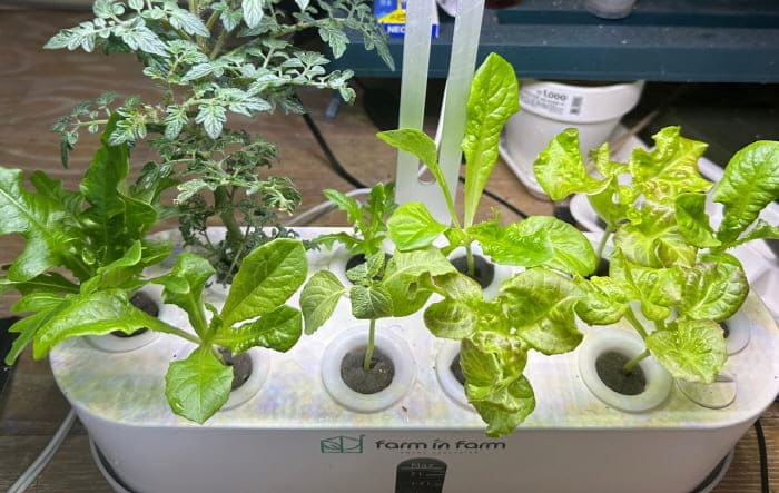 팜인팜수경재배기