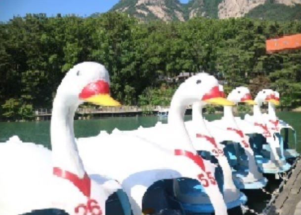 포천 산정호수 오리배 요금 종류