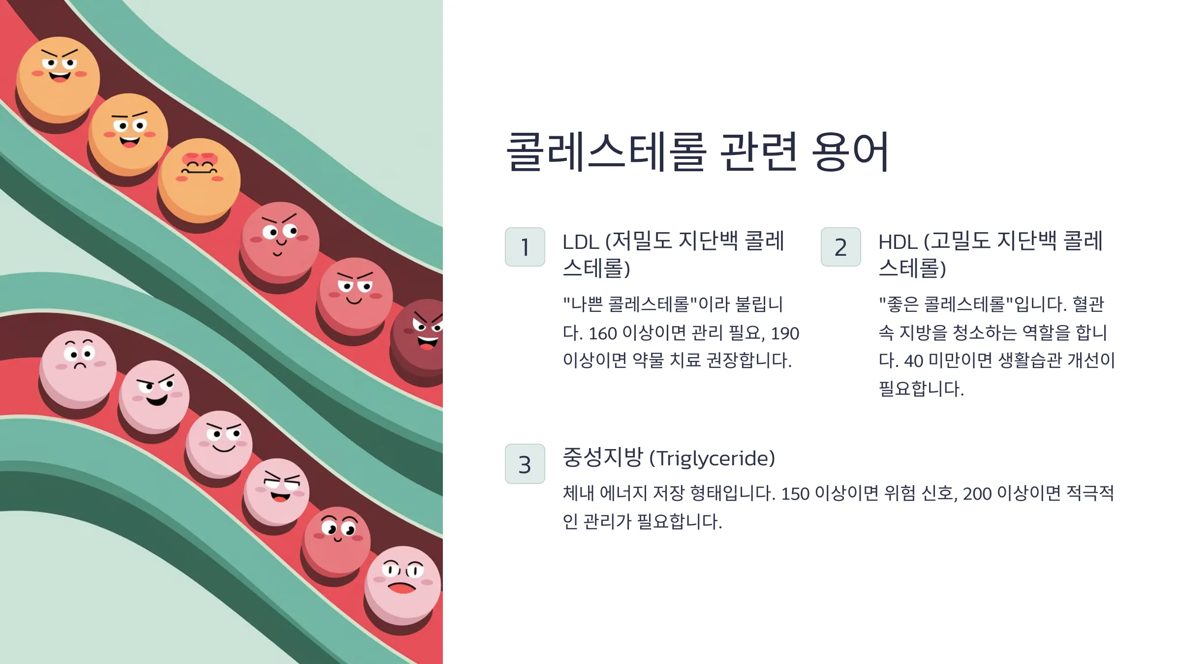 콜레스테롤 관련 용어