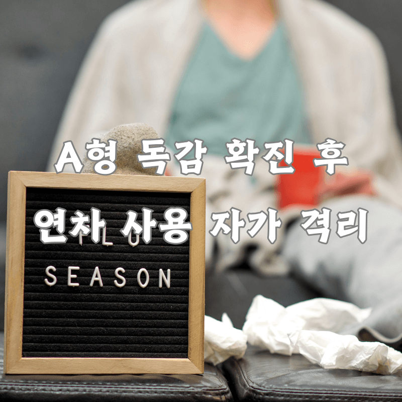 A형 독감 확진 후 자가 격리