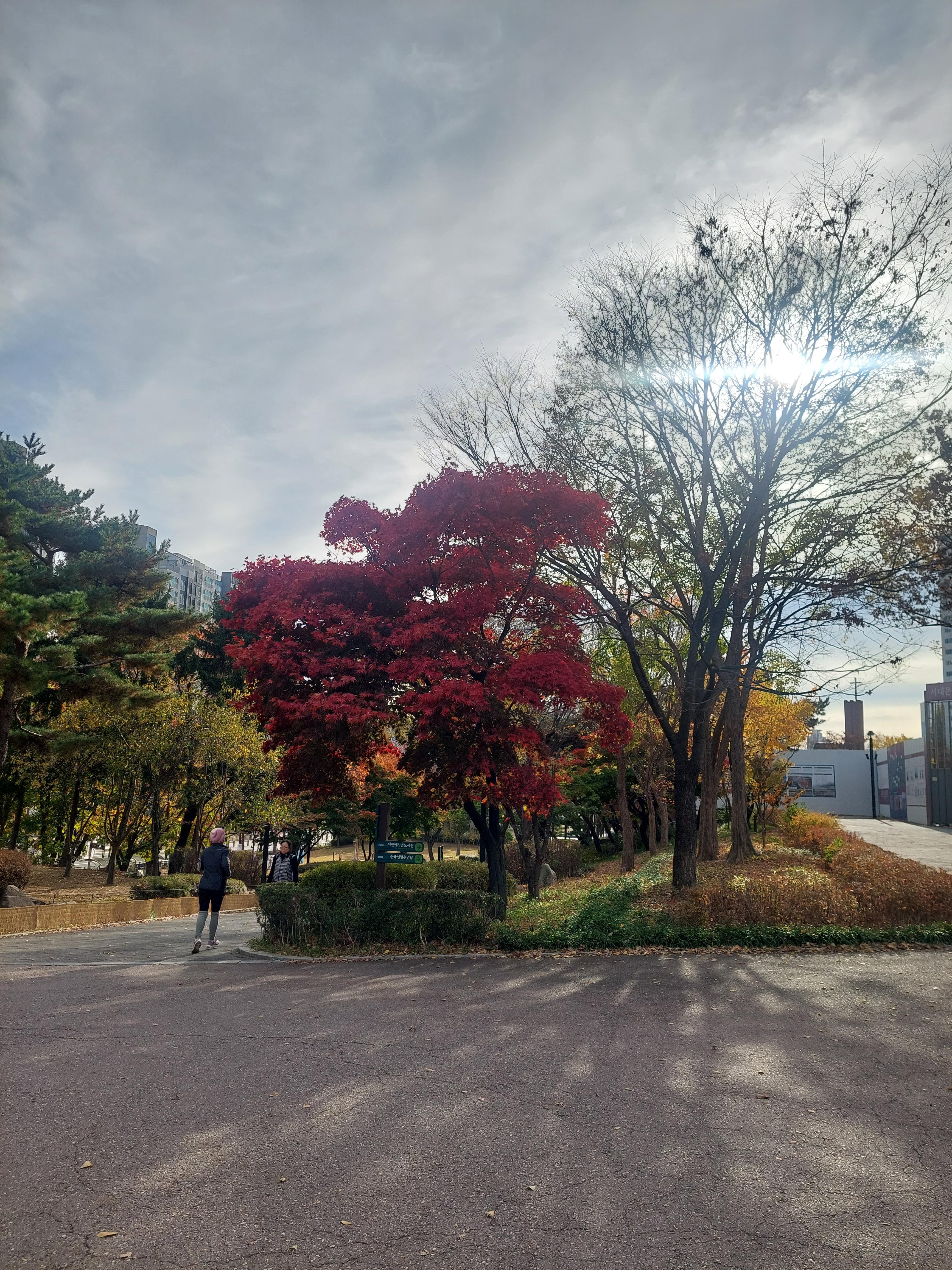 안산
