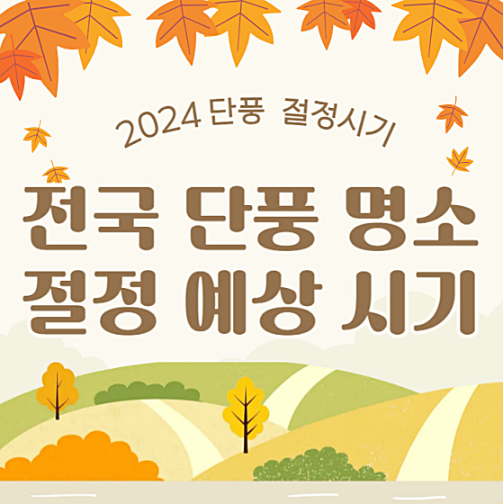 2024 가을 단풍 시기