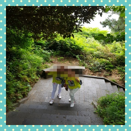 서귀포가볼만한곳성산일출봉입장료