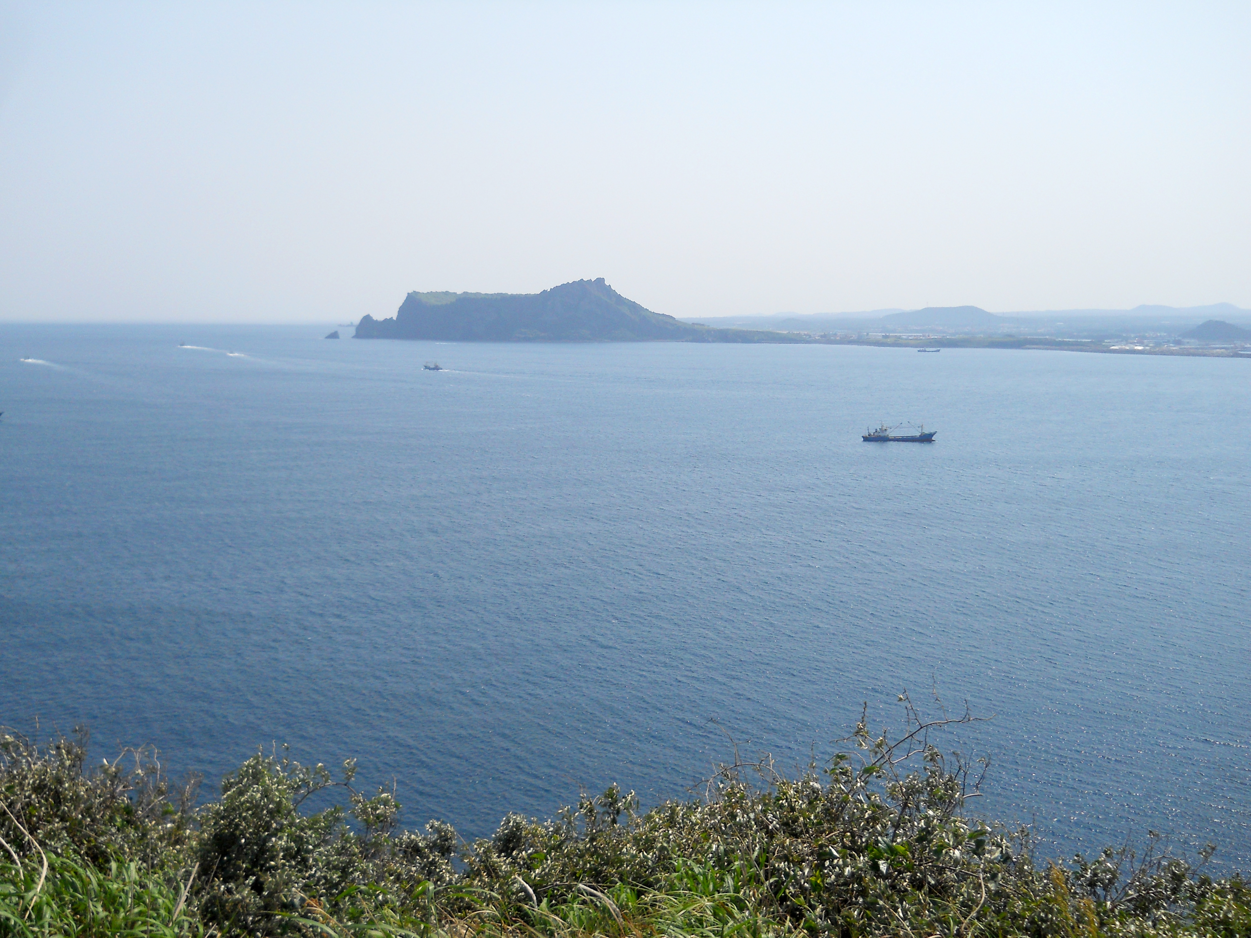우도(Udo)