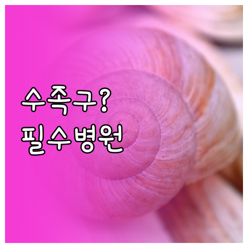이천시 수족구 의심 시 방문할 병원 ..