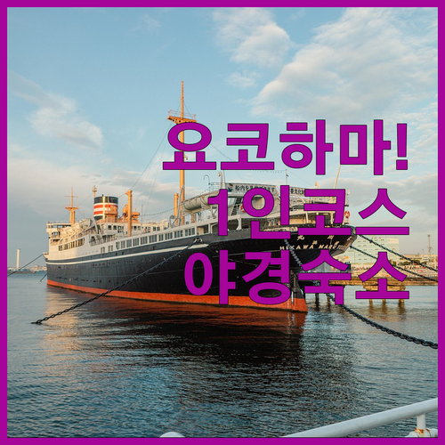 요코하마 차이나타운 1인 코스 요리 ..