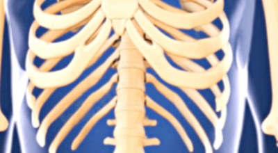 오른쪽 갈비뼈 아래 통증 이미지