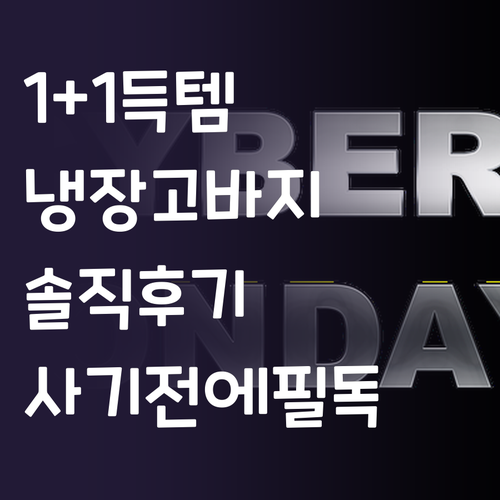 1+1 쿨맥스 냉장고 팬츠, 사기 전..