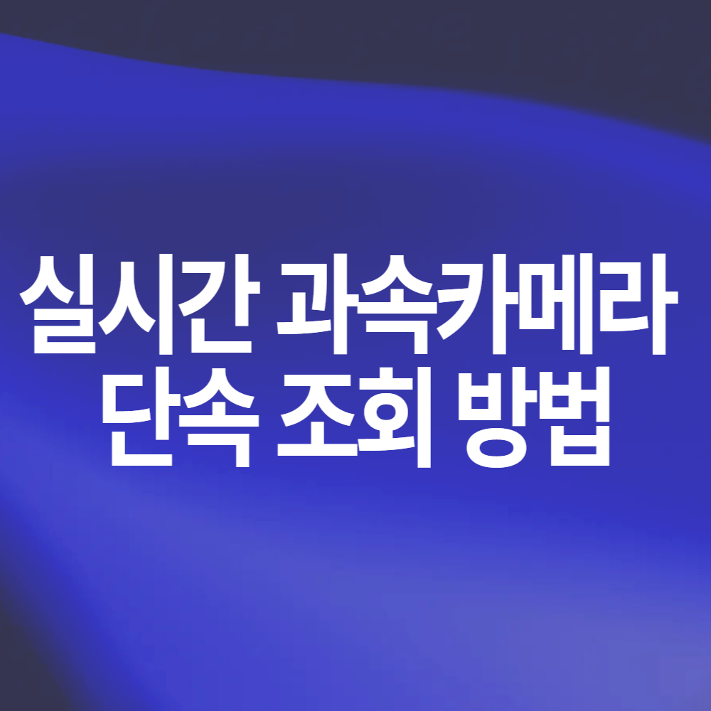 실시간 과속카메라 단속 조회 방법 운전자 필수 정보