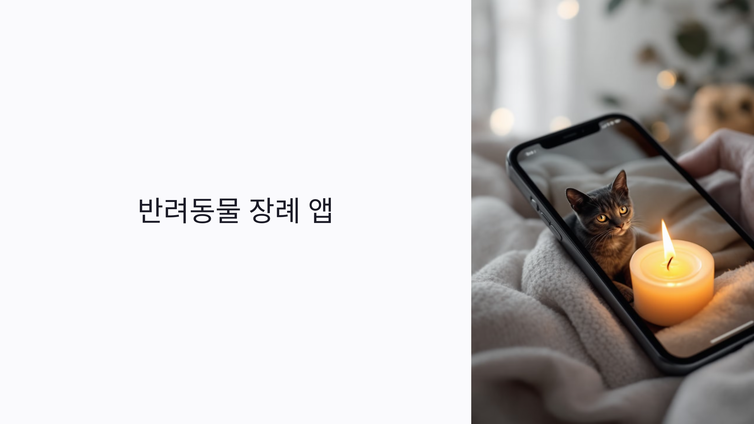 2025년 반려동물 장례 앱 완전 정복: 장례 절차부터 비용, 추모까지 한 번에