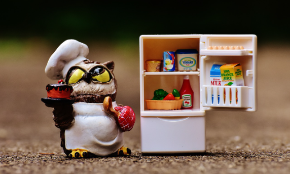 냉장고 양문형과 4도어의 장점과 단점