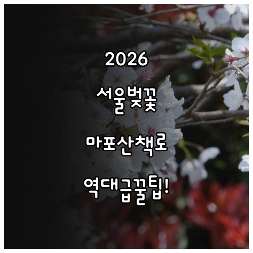 2026년 서울 벚꽃 개화 시기 및 ..