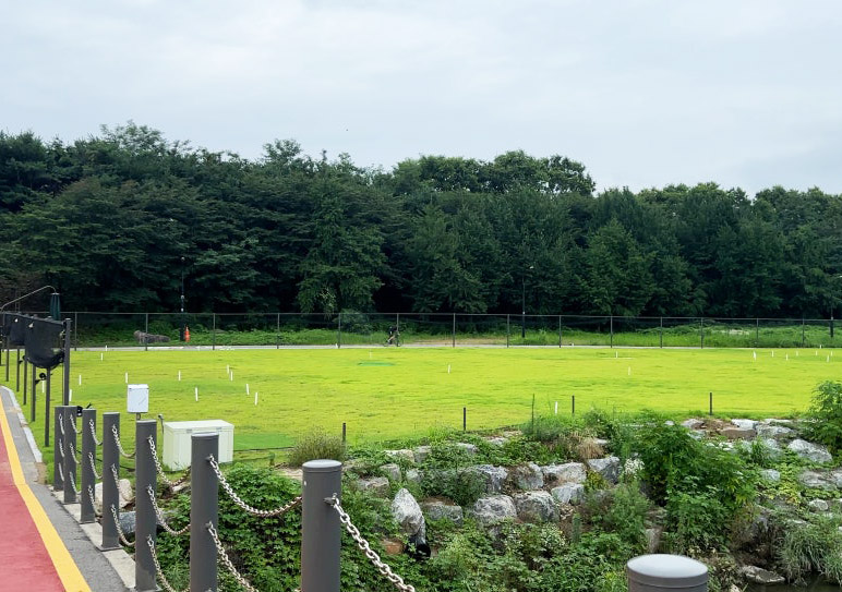 서울 강남 세곡동 탄천파크골프장 소개