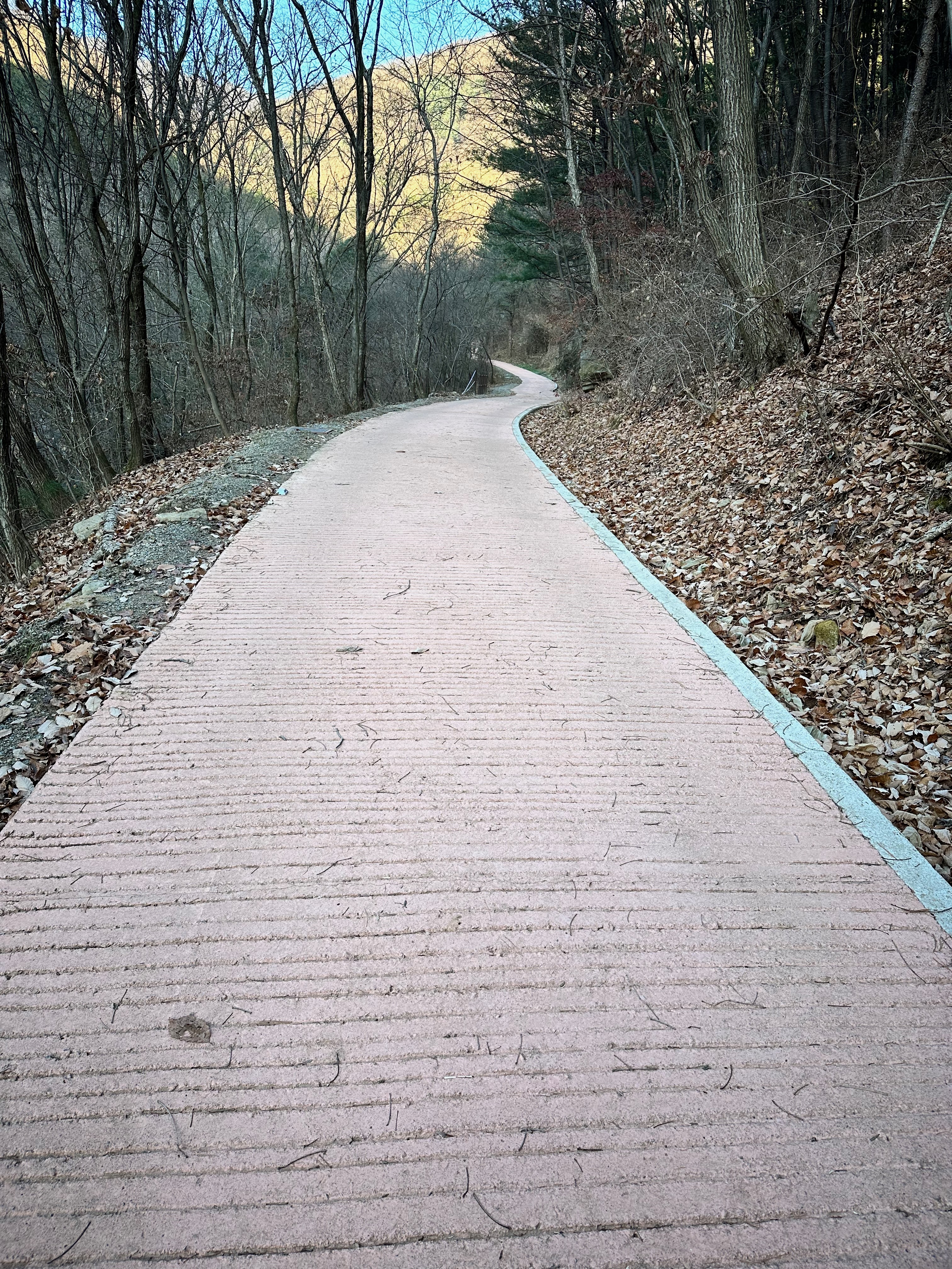 명지산 초입 임도 전경