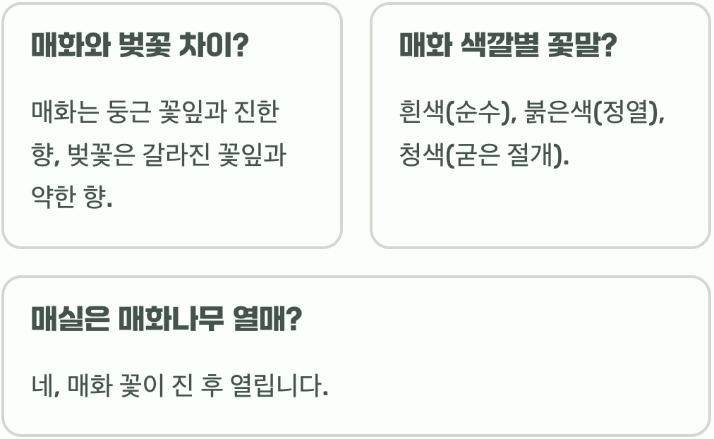 매화 꽃말 고결함과 인내를 상징하며 문학과 예술에서 사랑받는 의미