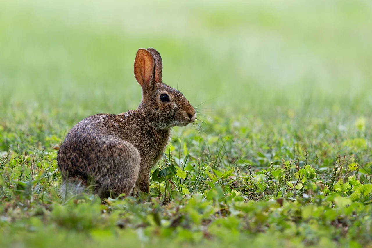 연말정산 모바일 홈택스