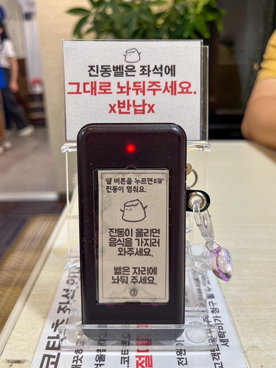 부산대 모모후