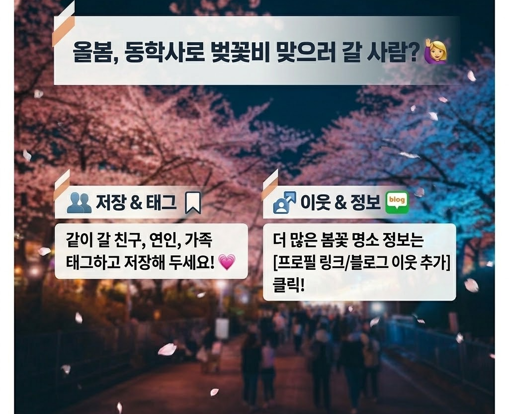 공주 벚꽃