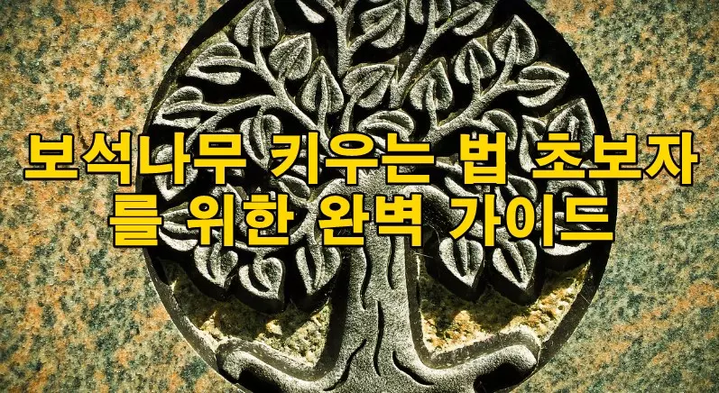 보석나무 키우는 법 초보자를 위한 완벽 가이드