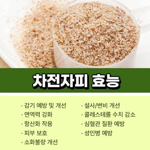 차전자피 효능