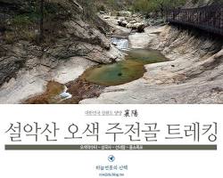 강원도 트레킹, 365일 봄날을 만날 수 있는 5곳의 광활한 경치