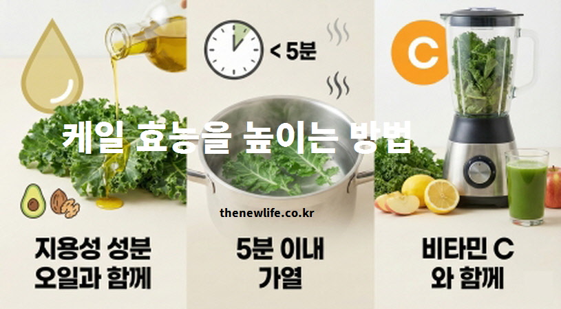 케일 효능 흡수율 높이는 3가지 방법: 지용성 성분은 오일과 함께, 가열은 5분 이내, 철분 흡수는 비타민C와 함께 섭취