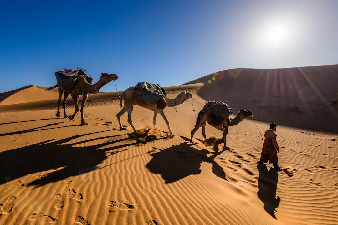 Sahara