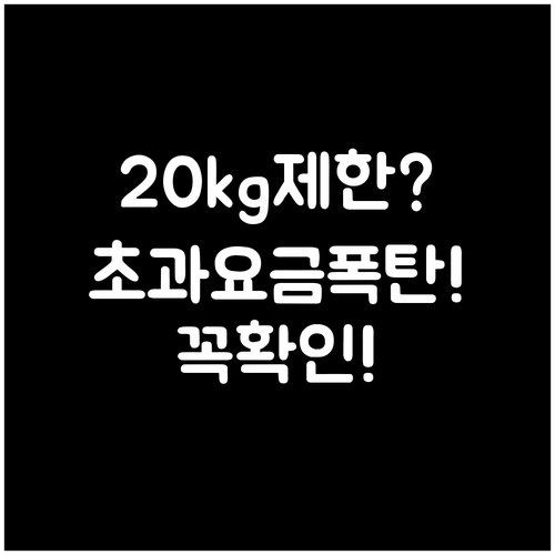 중국국제항공 국내선 위탁수하물 20k..