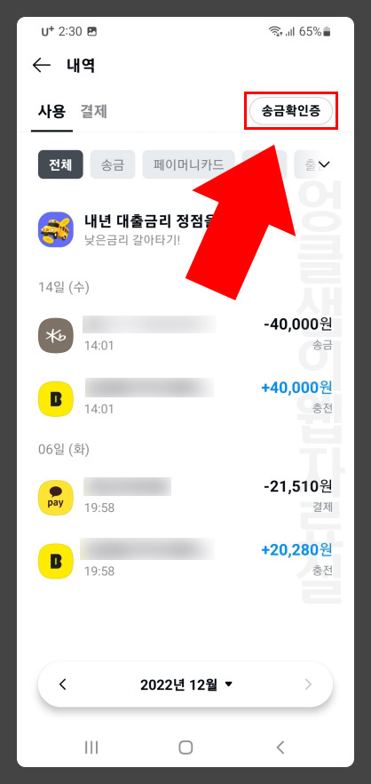 카카오페이 사용 내역