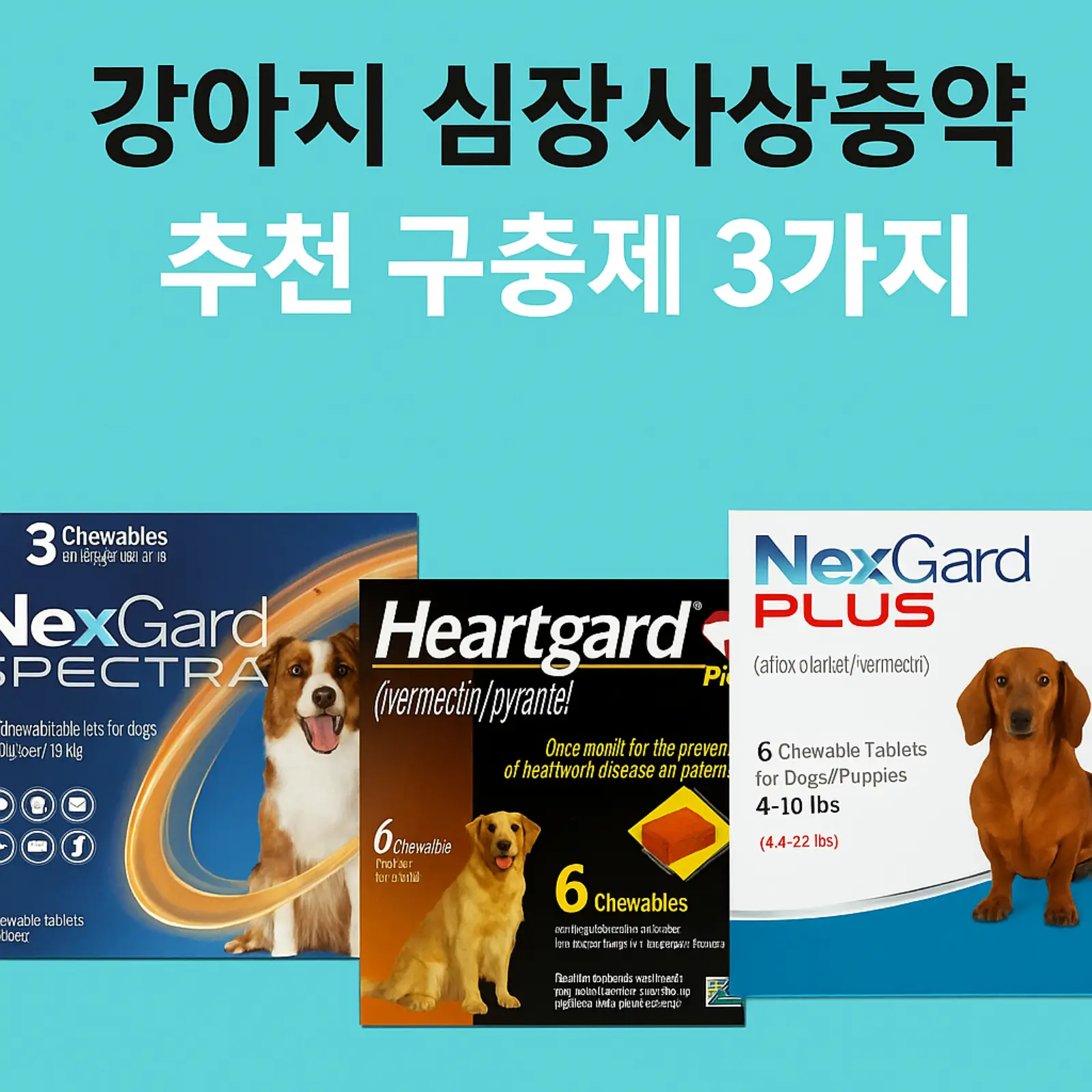강아지-심장사상충약-추천-제춤-비교-넥스가드-하트가드-스펙트라-효능-부작용-썸네일