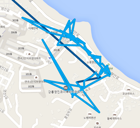 타임라인이 기록한 도보 이동 경로