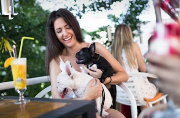 실내 동물카페 창업에 대하여 알아보기