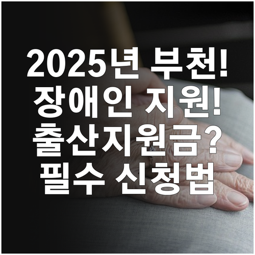 부천시 장애인 출산지원금 2025: ..