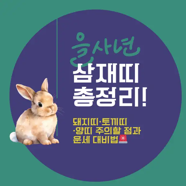 2025년 삼재띠 총정리!